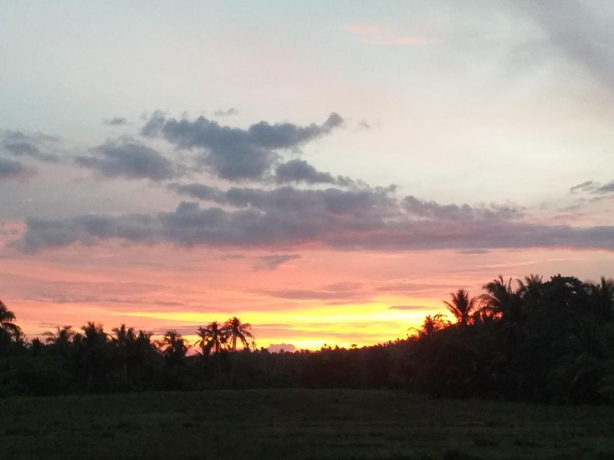 Вилла Butterfly House, Libertad, General Luna, Siargao, Filipinas Генерал-Луна Экстерьер фото