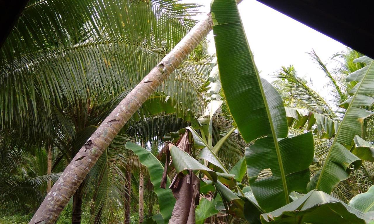 Вилла Butterfly House, Libertad, General Luna, Siargao, Filipinas Генерал-Луна Экстерьер фото